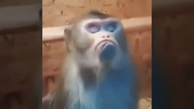 Я обиделась смотреть онлайн