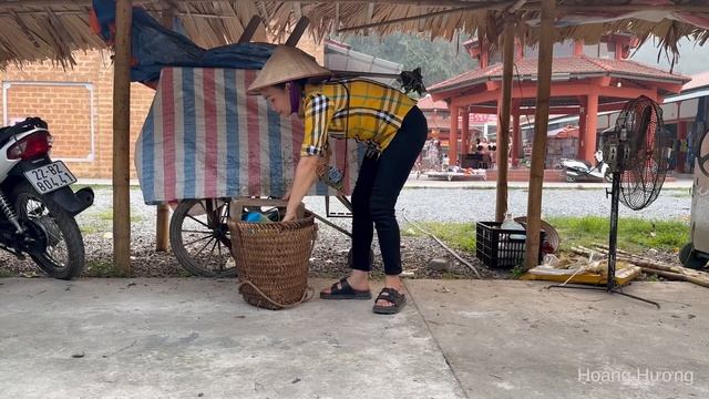 Harvest sapodilla Goes to the market sell | Help PRIMITIVE SKILLS gardening | Hoàng Hương смотреть онлайн