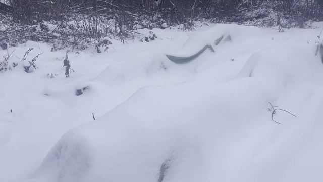 Персики в черноземье. Только под укрытием. смотреть онлайн