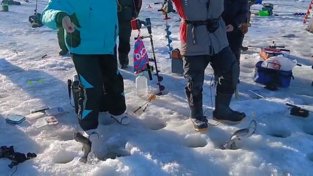 8.03.25 Запуск Спорт !!