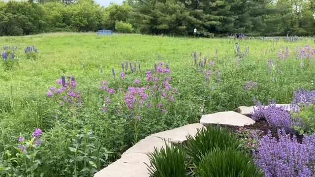 Late Spring Garden Tour