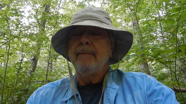 A half mile up the Rapidan River on Graves Mill Trail. смотреть онлайн