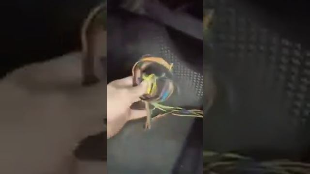 Супер электрик смотреть онлайн