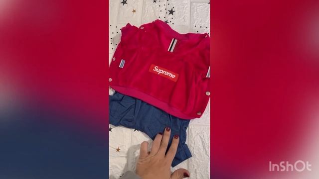 Комбинезон велюр для собак