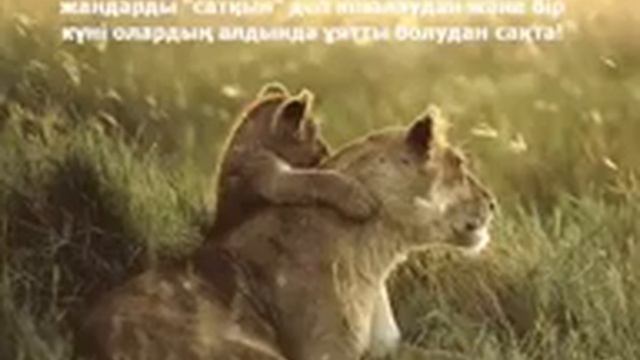 1 июля 2016 г. смотреть онлайн