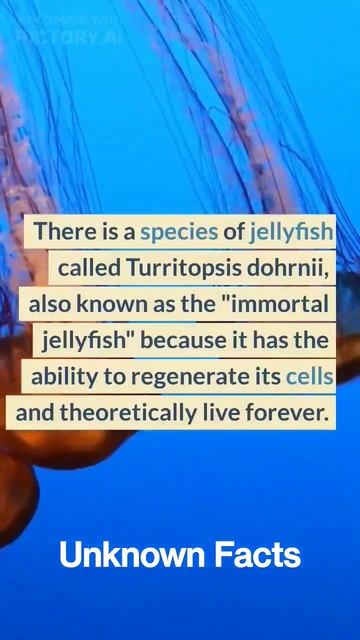 Amazing facts 3 #funfacts #cats #facts #jellyfish #shorts смотреть онлайн