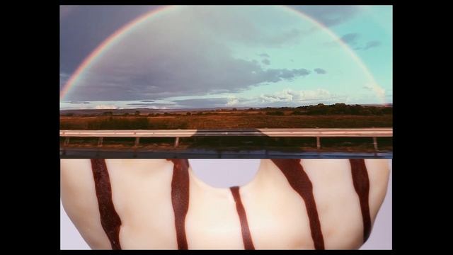 пончики/donuts/Nina K