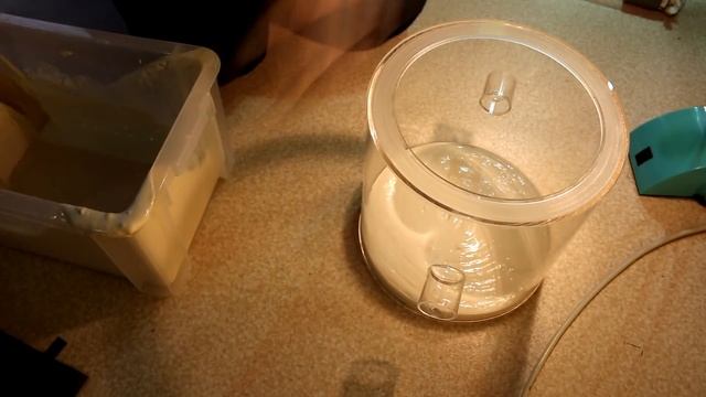 Changement d'installation Acromyrmex octospinosus смотреть онлайн