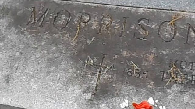 Lily Luxe Moon Allure Video (Demo)