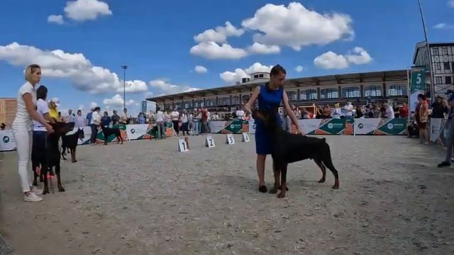 Россия 2024, 8.06, часть 2