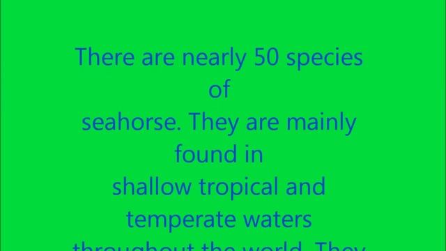 Great Barrier Reef - Seahorse смотреть онлайн