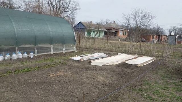 #755ЧТО ДЛЯ ЖЕНСКОГО СЧАСТЬЯ НАДО/ПОДАРОК/КАРТОШКА В ГОРШОЧКАХ#купилидомнаюге#жизньнакубани#свойдом смотреть онлайн