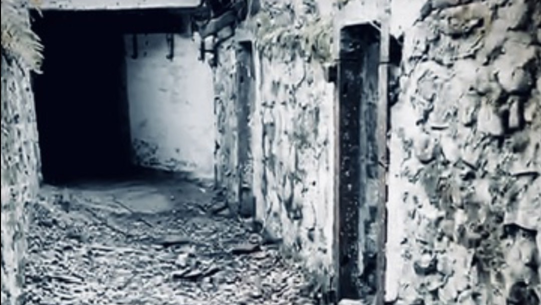 Форт-Красная Горка / Лебяжье