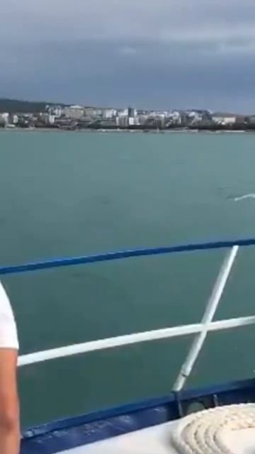 Морская рыбалка с катера в открытом море смотреть онлайн