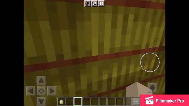 Tour Of My Zoo/Minecraft