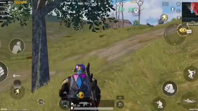 баги работает и без собак 😉🙃