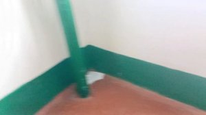 Ам жалау. Подъезде сорып бердім