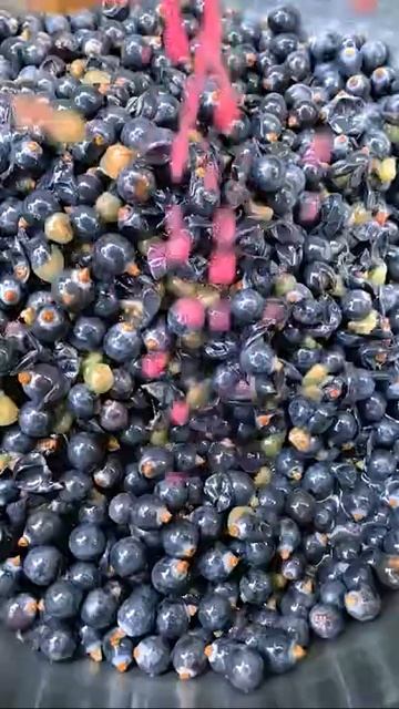 Nice grapes смотреть онлайн