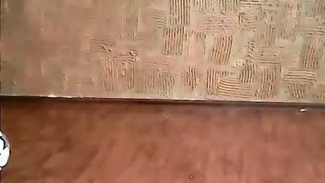 учение 2 ух финтов смотреть онлайн