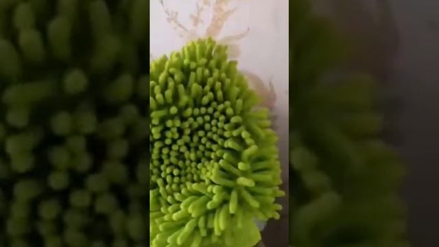 Рукавичка для уборки от Faberlic смотреть онлайн