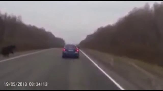 Йцукенгшщзхэждлорпавыф смотреть онлайн