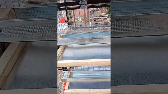 Клетка для бройлера на заказ смотреть онлайн