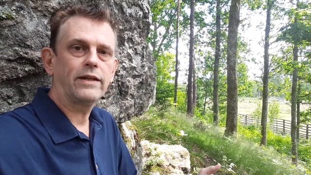 Låt asylsökanden göra rätt för sig смотреть онлайн