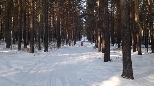 Аэросани смотреть онлайн