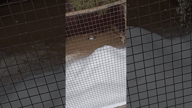 10 марта 2024 г.