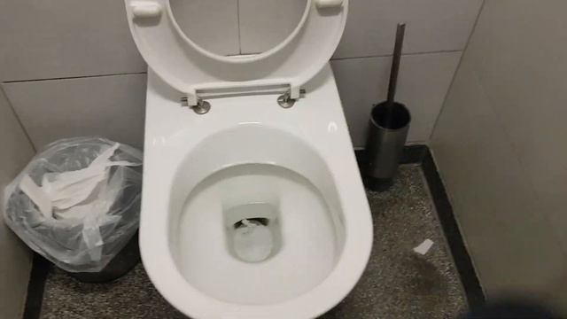 🇦🇹 AUSTRIA TOILET 🇦🇹= "LAUFEN Bowl and GEBERIT Button" смотреть онлайн