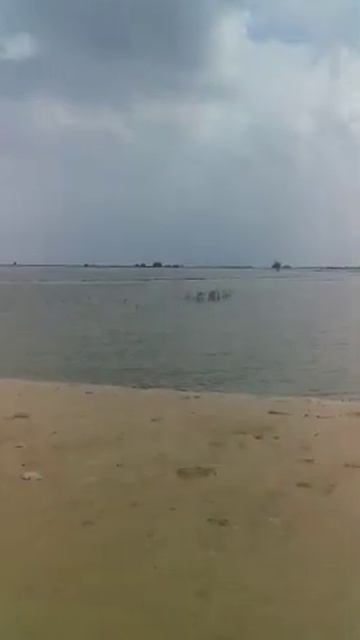 Су тасқыны 01.05.2020.  Зардабы