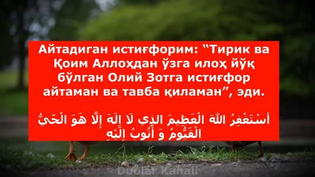 ХЕЧ ҚАЧОН ПУЛГА МУХТОЖ БУЛМАЙСИЗ ИН ШАА АЛЛОХ | дуолар канали смотреть онлайн