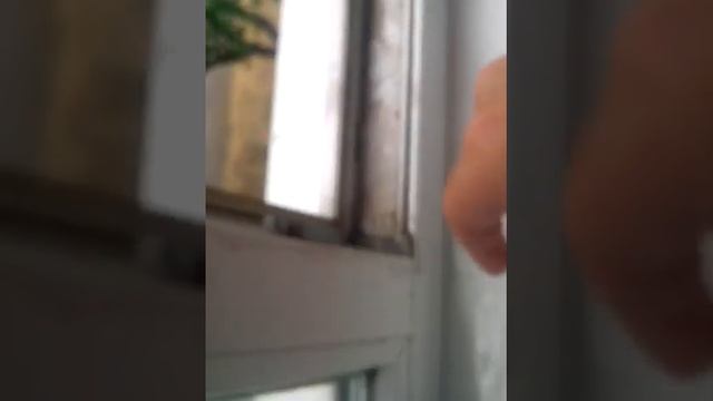 Скидываю пакет с водой с окна! смотреть онлайн