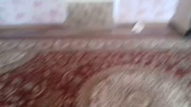 Как зделать батут за 2 минуты смотреть онлайн
