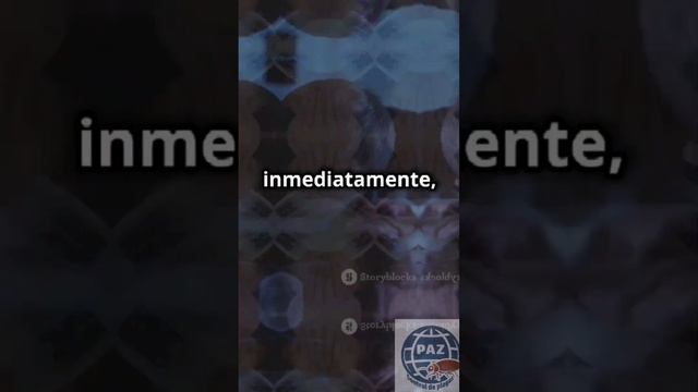 Mordida De Araña Violinista! 🕷️ Aprende Qué Hacer Y Cómo Prevenir. #PAZControlDePlagas