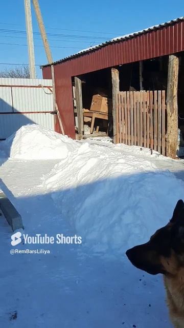 Самая лучшая смотреть онлайн