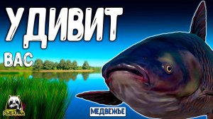 РУССКАЯ РЫБАЛКА 4. RF4 РЫБАЛКА ВАС МОЖЕТ УДИВИТЬ ЕСЛИ ПОДХОДИТЬ ПО-ДРУГОМУ #рр4