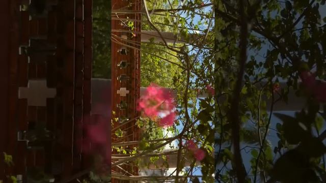 Confucius Temple #taipei #shorts #travel