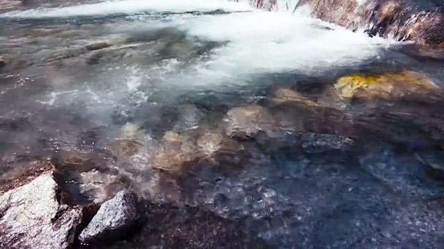 Слушайте и прочувствуйте эти мелодии Душа оживає, а краса заповнює серце смотреть онлайн
