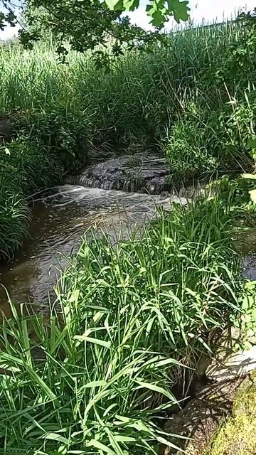 Омар Хайям стих со смыслом. 3 июня 2024 г. смотреть онлайн