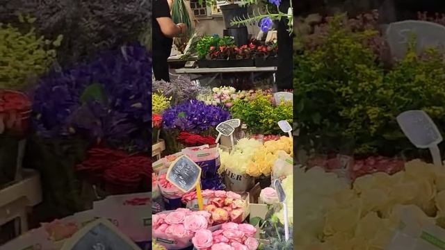 FRANCE, TOUR MARKE AUX ILES DE FRANCE CUOC SONG PHAP, CHO HOA THU BAY смотреть онлайн