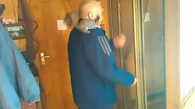 Кутька забрался под куртку смотреть онлайн