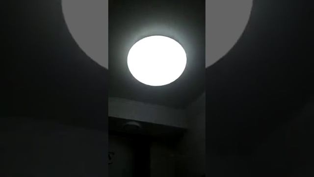 VID 20200329 WA0001 сдача объекта смотреть онлайн