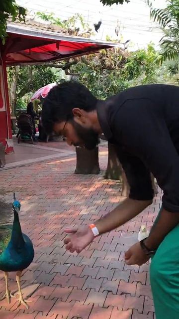 Kuala Lumpur | Birds Park | Family Trip