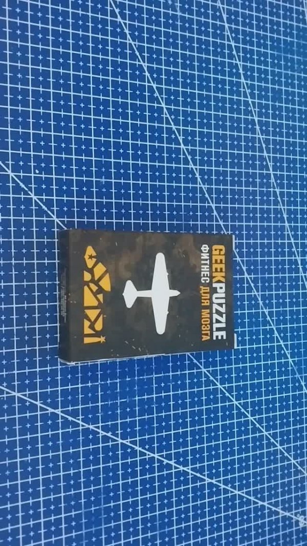 Собрать IQ puzzle (geek puzzle) Самолет ИЛ-2 из 11 деталей (Arrange the war plane out of 11 pieces)