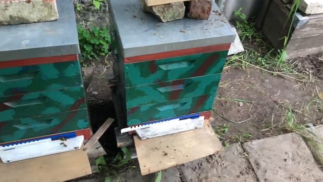 27.05.2023. Пересадил и расширил пакеты . смотреть онлайн