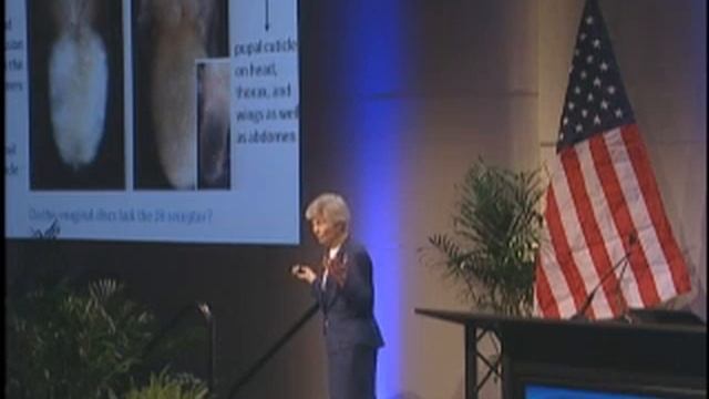 Lynn Riddiford - Juvenile Hormone and Insect Metamorphosis: The Status of the "Status Quo" смотреть онлайн