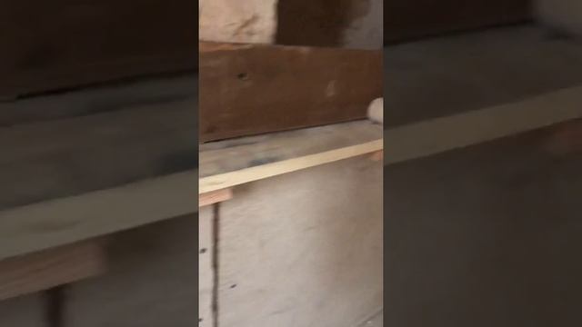 Курятник своими руками смотреть онлайн