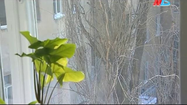 Долги волгоградцев за горячую воду и тепло с 1 ноября обрастут пеней смотреть онлайн