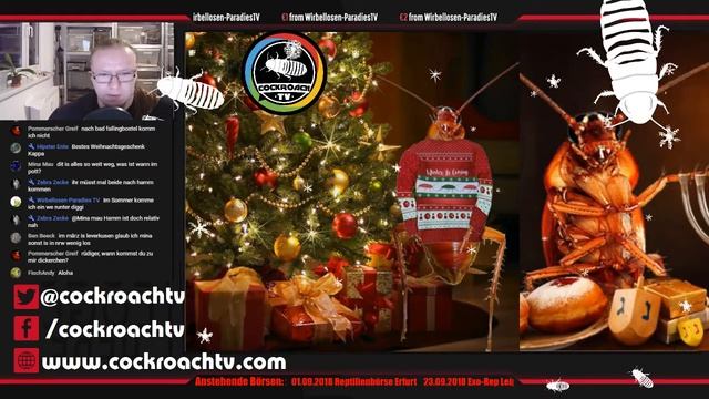 Vor-Weihnachtsstream 2017 смотреть онлайн